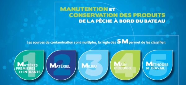 Guide de manutention et de conservation des produits de la pêche à bord du bateau