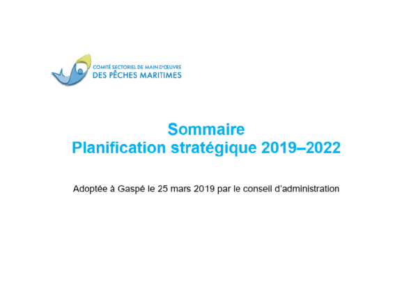 Sommaire de la planification stratégique 2019-2022