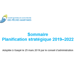 Sommaire de la planification stratégique 2019-2022