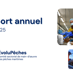 Rapport annuel 2024-2025